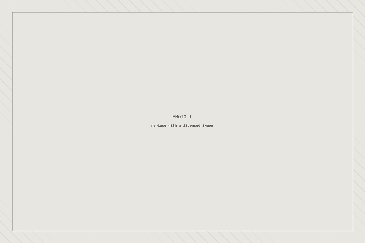 Placeholder image 1 — to be replaced with a licensed photograph