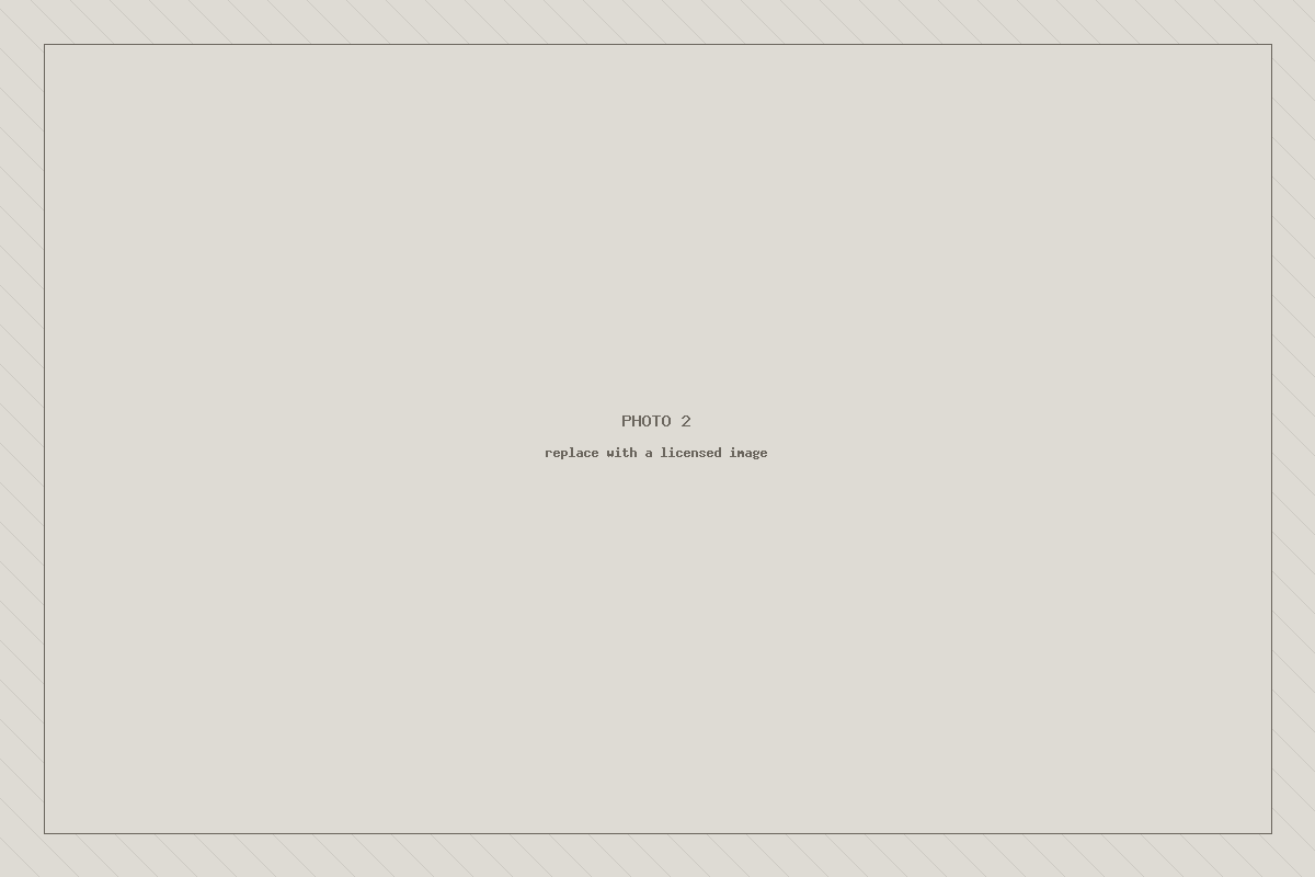 Placeholder image 2 — to be replaced with a licensed photograph