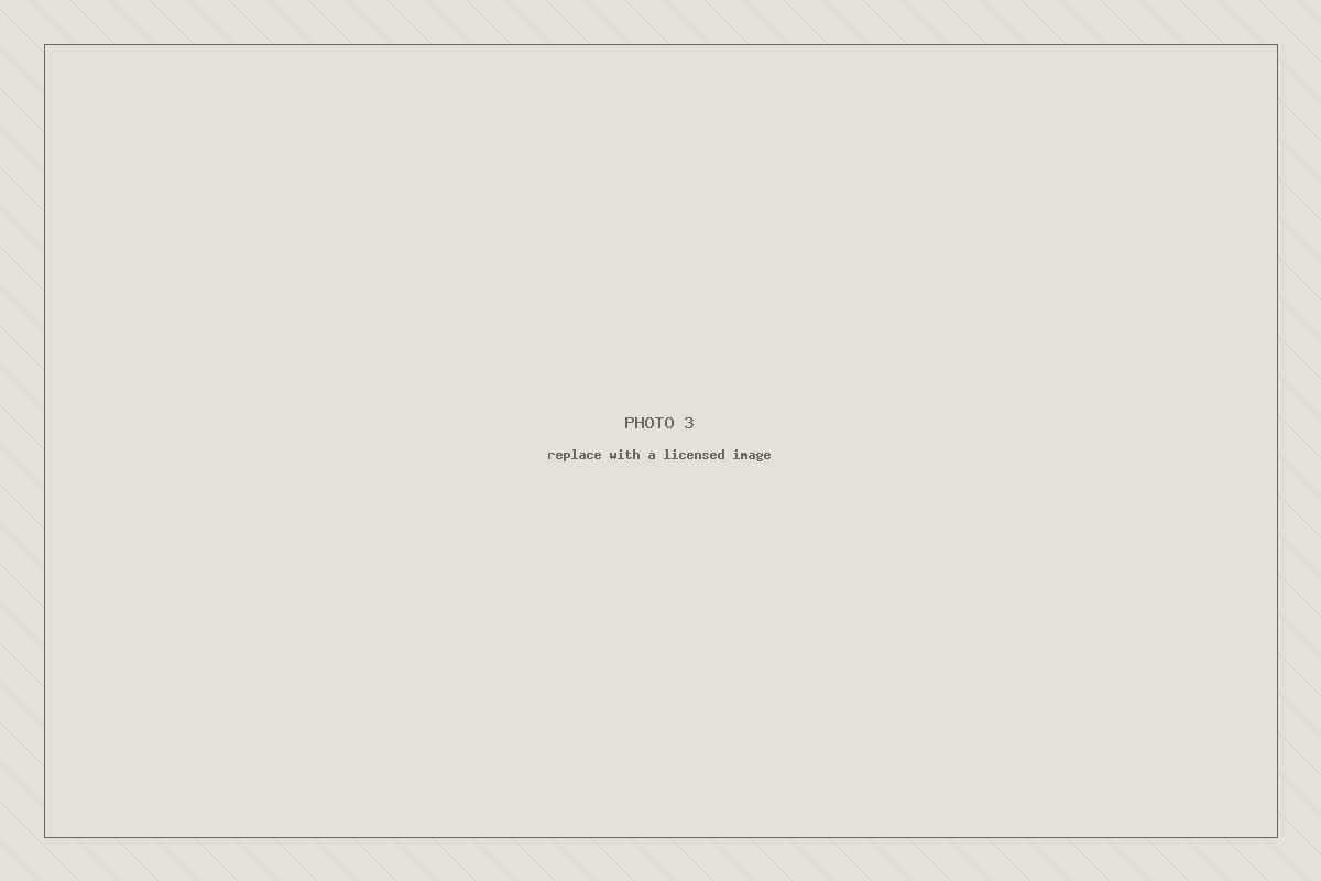 Placeholder image 3 — to be replaced with a licensed photograph