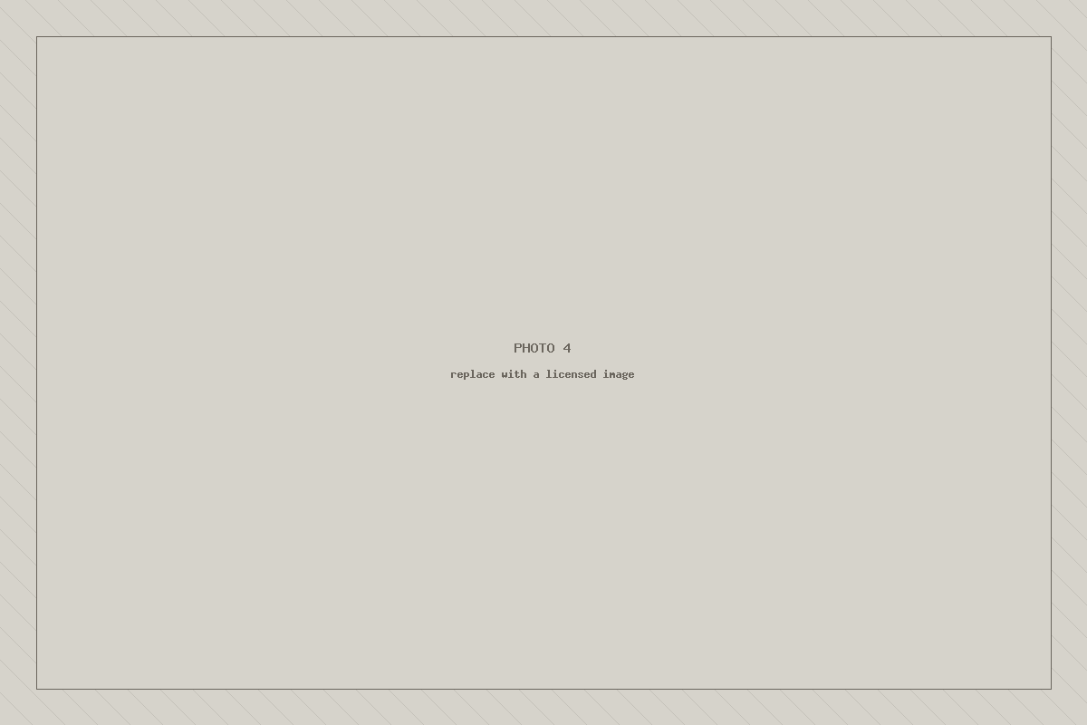 Placeholder image 4 — to be replaced with a licensed photograph