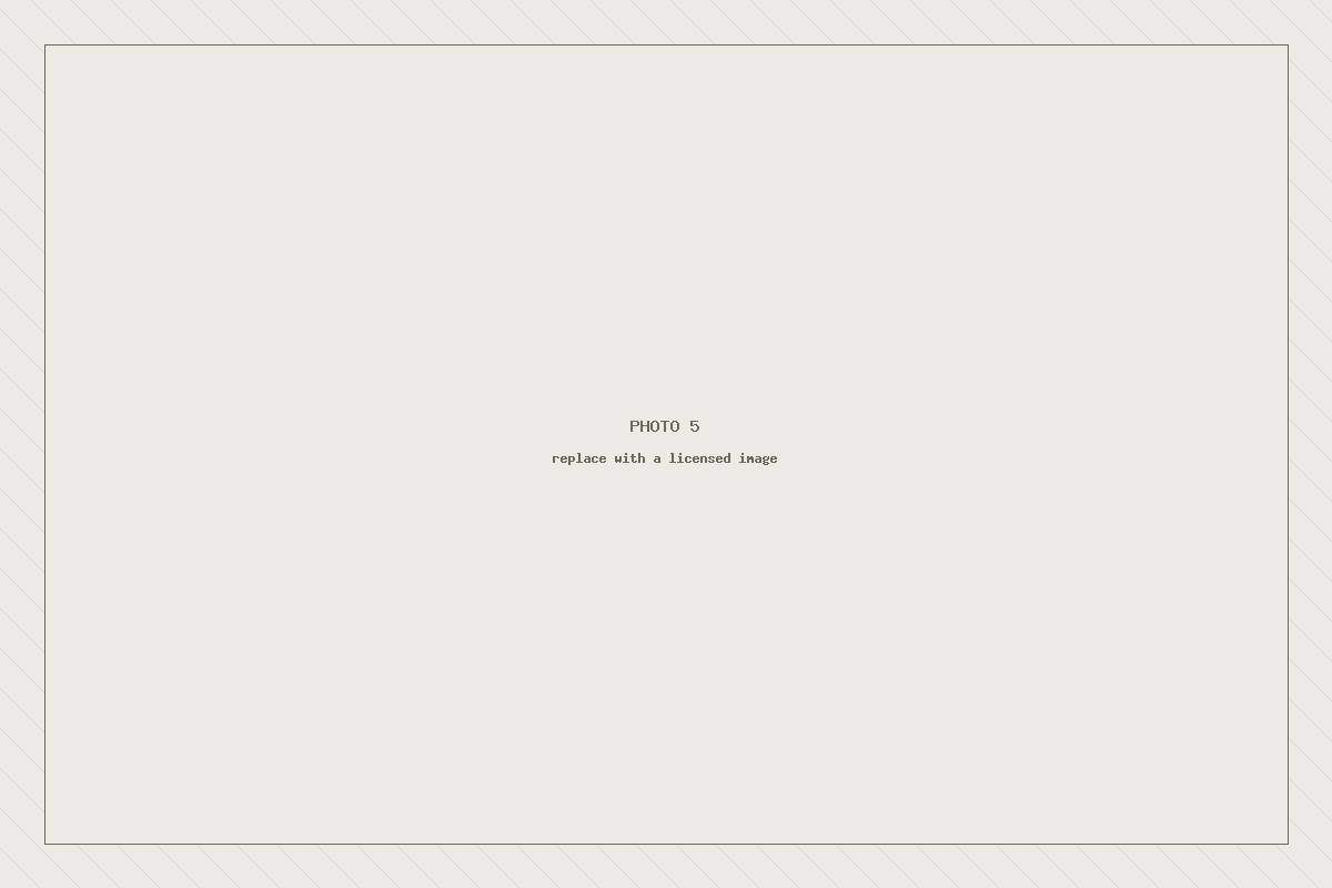 Placeholder image 5 — to be replaced with a licensed photograph