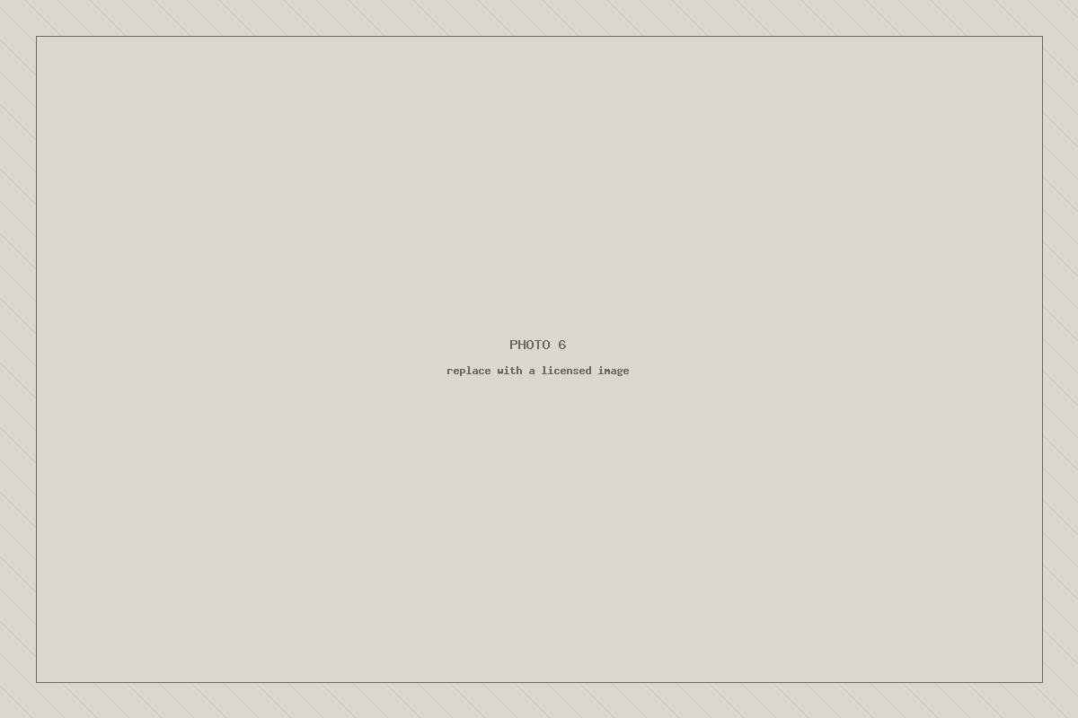 Placeholder image 6 — to be replaced with a licensed photograph